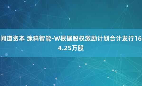 闻道资本 涂鸦智能-W根据股权激励计划合计发行164.25万股