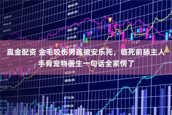 赢金配资 金毛咬伤男孩被安乐死，临死前舔主人手背宠物医生一句话全家愣了