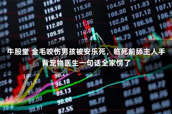 牛股堂 金毛咬伤男孩被安乐死，临死前舔主人手背宠物医生一句话全家愣了