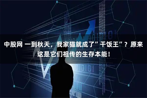 中股网 一到秋天，我家猫就成了”干饭王”？原来这是它们祖传的生存本能！