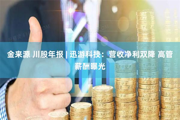 金来源 川股年报 | 迅游科技：营收净利双降 高管薪酬曝光