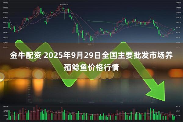 金牛配资 2025年9月29日全国主要批发市场养殖鲶鱼价格行情