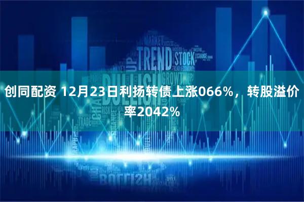 创同配资 12月23日利扬转债上涨066%，转股溢价率2042%
